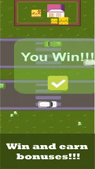 Whiskered Crossing Mission