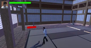 Karate Fight