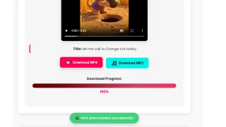 TikTok Video Downloader Without Watermark Pure Frontend Tool