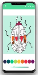 Colorize - Colorbook for Adult