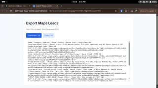 Google Maps Lead Collector - Chrome Extension