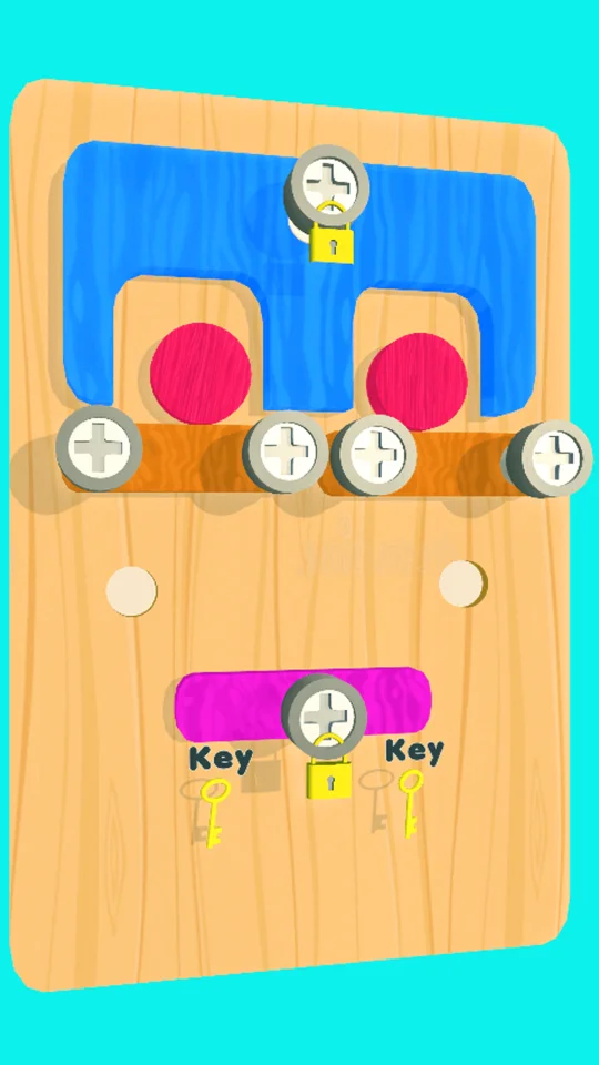 Screw Puzzle Nut and Bolts — screenshot 4