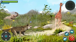 Wolf Simulator Attack Games 3D
