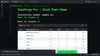 DataForge Pro - Python Data Processing Templates