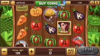 Farm Slot