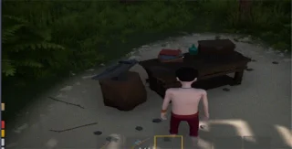 Island Survival