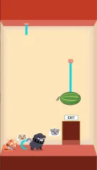 Rescue Kitten - Rope Puzzle