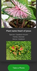 Plant App
