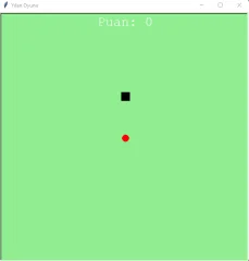 Snake Game