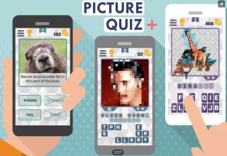 Picture Quiz Plus