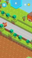 Blocky Road