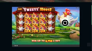 Casino Full Platform - 1180 Games + Exclusive