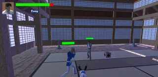 Karate Fight