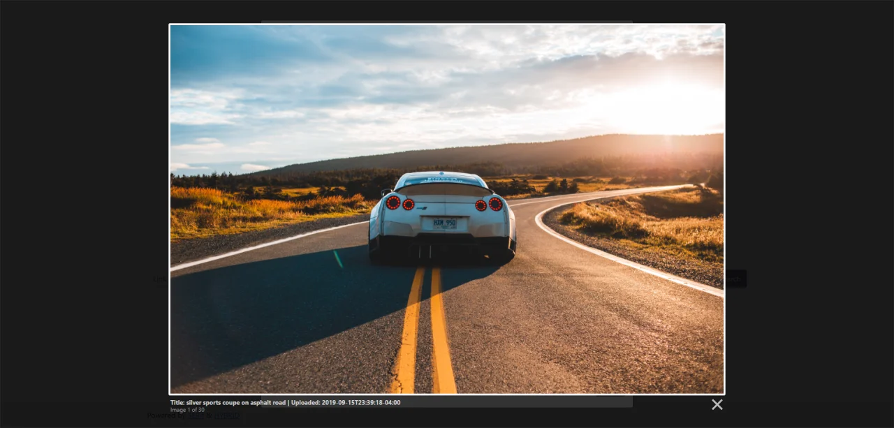 Mega Image Search — screenshot 3