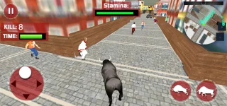 Bull Run: Chase or Escape