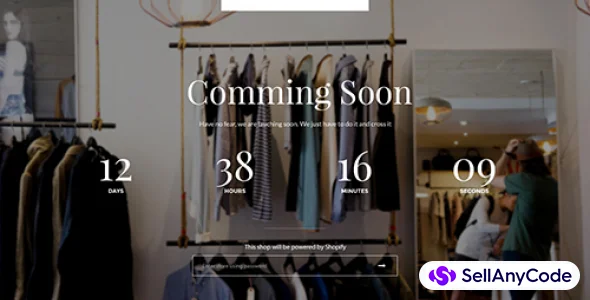 Brilliant - Multi Store Responsive Shopify Theme v1.1.0