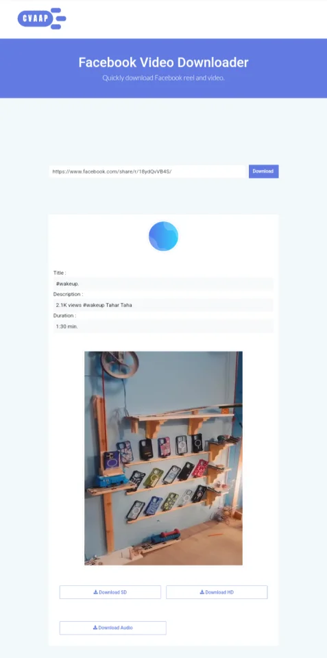 Facebook Video and Reel Downloader — screenshot 2