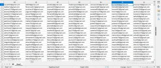 France Verified Email List