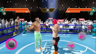 Ring Wrestling Championship 3D