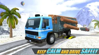 Real Cargo Truck Driver