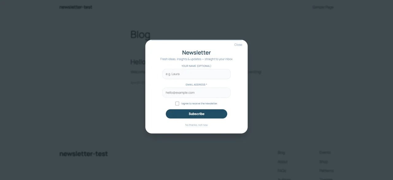 Newsletter Signup Modal Smart WordPress Popup — screenshot 2