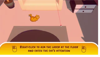 Cat & the Cage