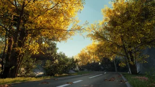 XBH TREE Vol. 1