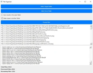 File Organizer & Sorter