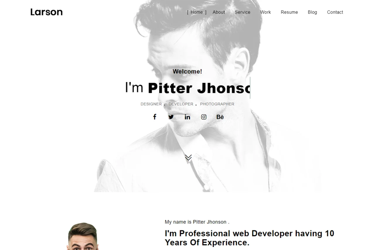 Larson Personal Portfolio Template — screenshot 3