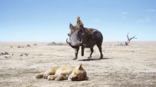 The Lion King GIFs