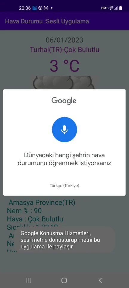 World Weather Voice App — screenshot 2