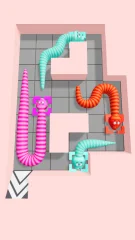 Snake Puzzle