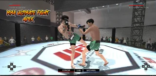 MMA Ultimate Fight APEX