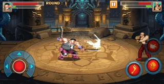 Fighter Champion