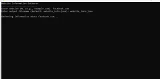 Website Information Gatherer