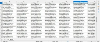 India Verified Email List