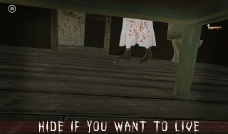 Creepy Evil Granny: Scary Horror Game