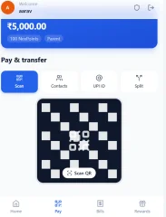 Nexus-Pay
