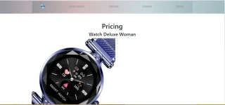 Watch Store Luxury Silver on HTML Template