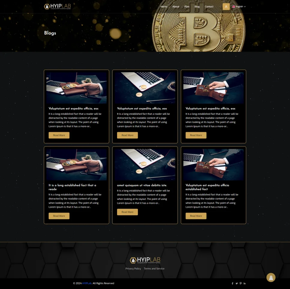 HYIPLAB - Complete HYIP Investment System — screenshot 6
