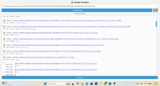 Web Image Analyzer