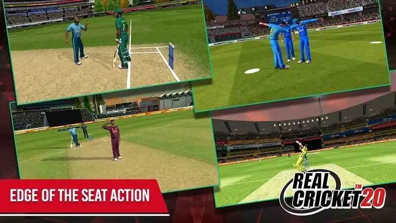 Real Cricket 20 Game — screenshot 3