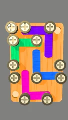 Screw Puzzle Nut and Bolts