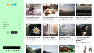 Aurora - WordPress Blog Theme with Switchable Layouts