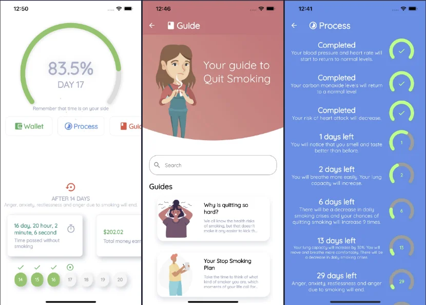 Quit Smoke App Flutter — screenshot 1