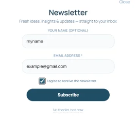 Newsletter Signup Modal Smart WordPress Popup