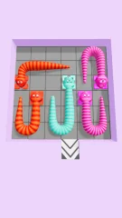 Snake Puzzle
