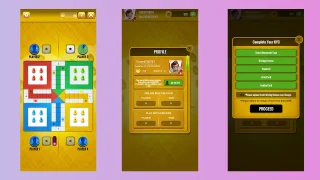 Ludo Pay Online Multiplayer Real Money Game with Extended License