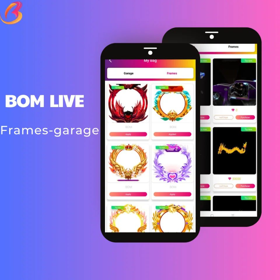 Basmati Social Network with Live Streaming, PK Battles, Chat Room, Agency and More Admin Panel — screenshot 4