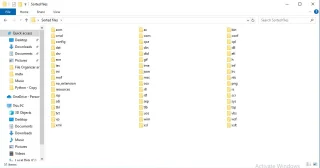 File Organizer & Sorter